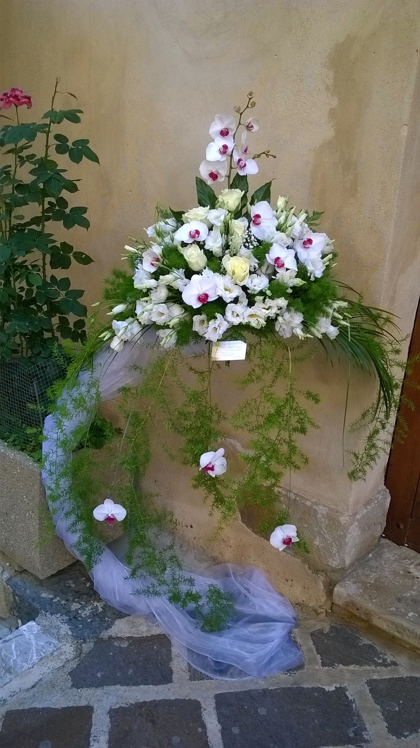 wp_20150530_09_04_48_pro