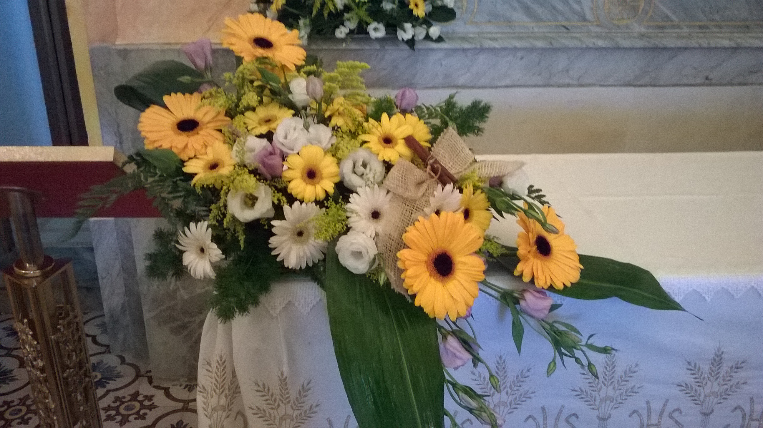 wp_20150925_17_07_00_pro