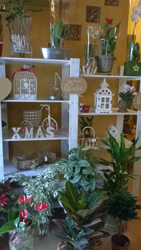 wp_20151230_10_49_01_pro