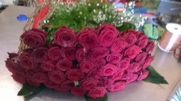 wp_20160305_13_19_49_pro