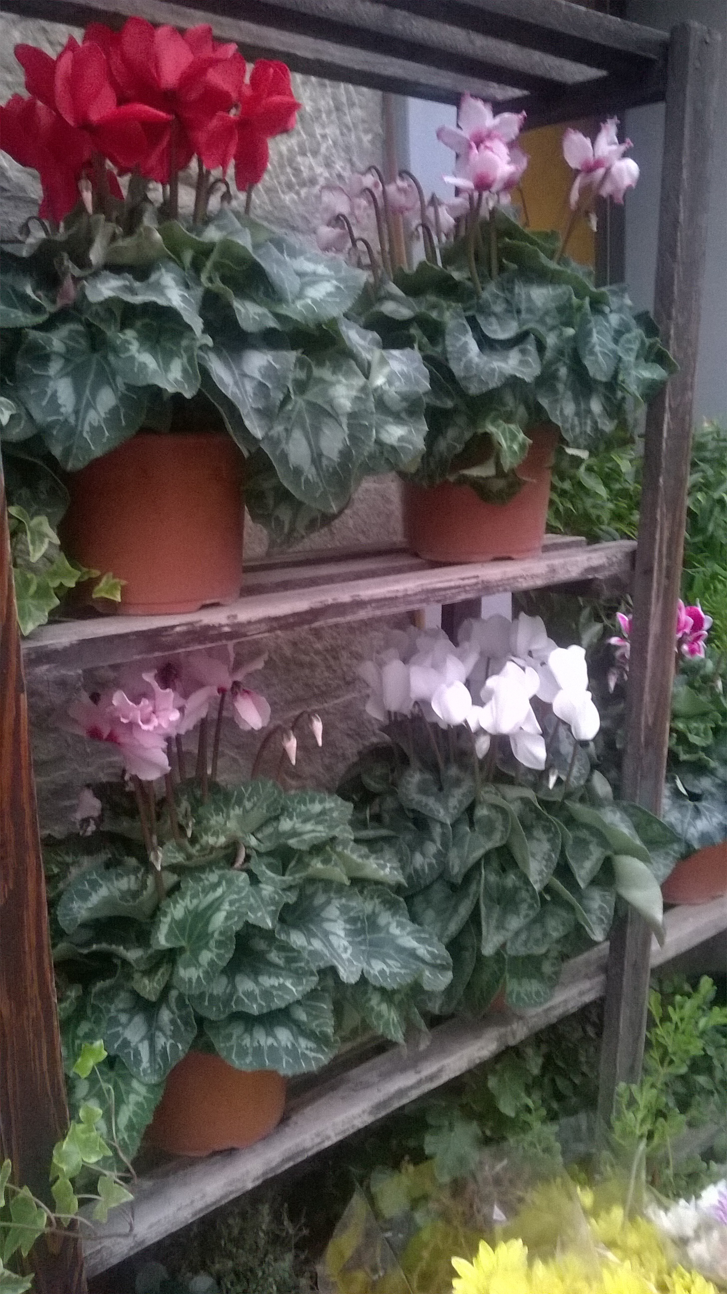 wp_20161028_18_02_12_pro