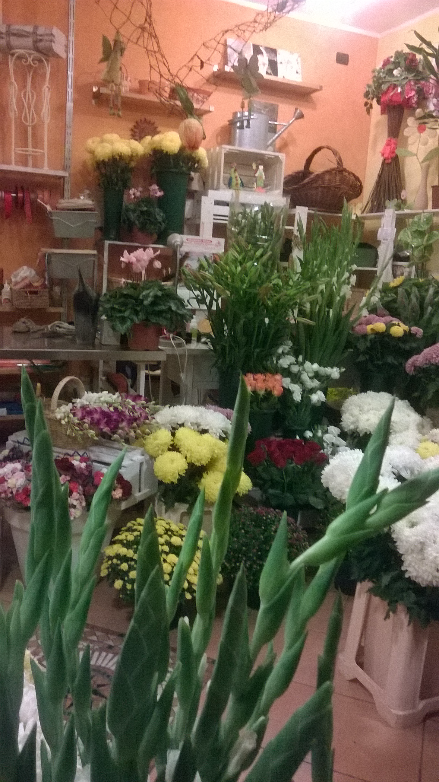 wp_20161028_18_49_08_pro