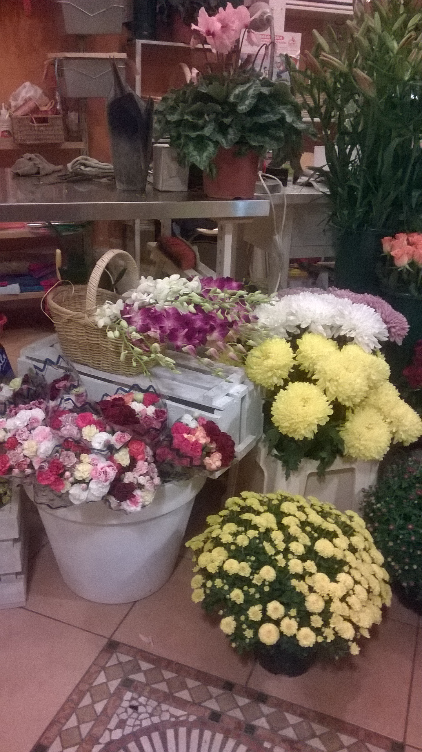 wp_20161028_18_49_18_pro