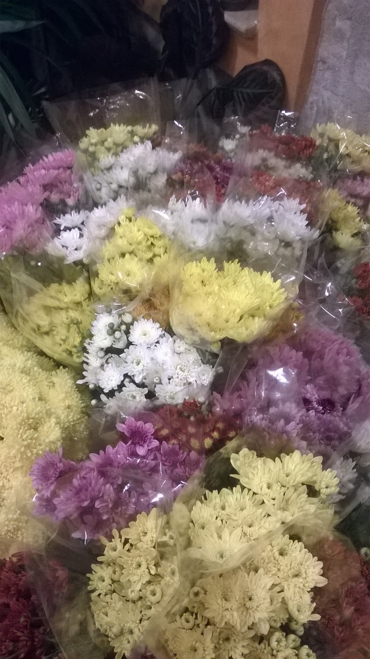 wp_20161028_18_53_11_pro