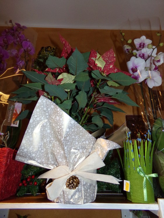 KODAK Digital Still Camera